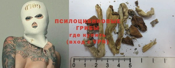 прущие крисы Абинск