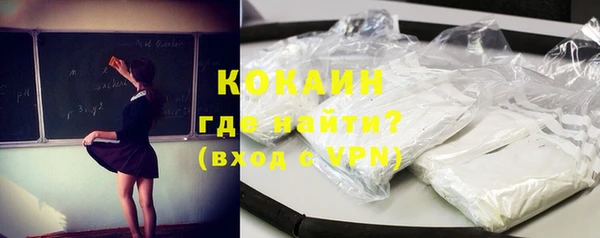 индика Алексин