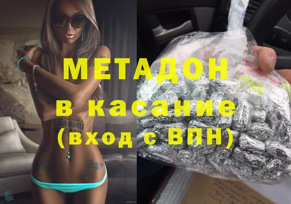 индика Алексин