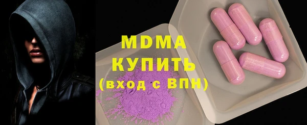 индика Алексин