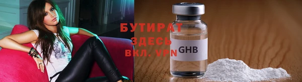 индика Алексин