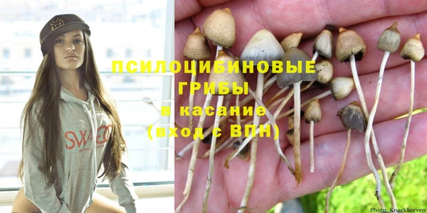 дживик Сафоново