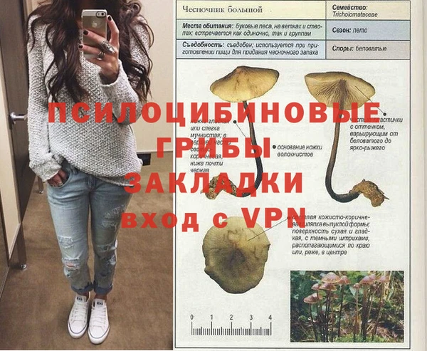 амф Алзамай