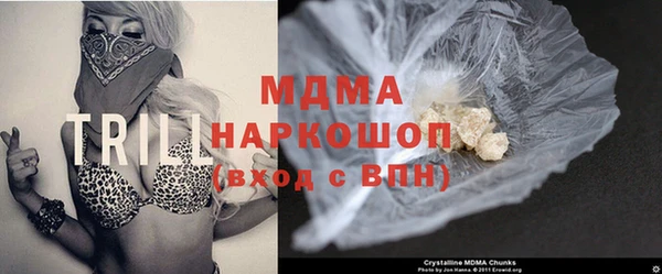 индика Алексин