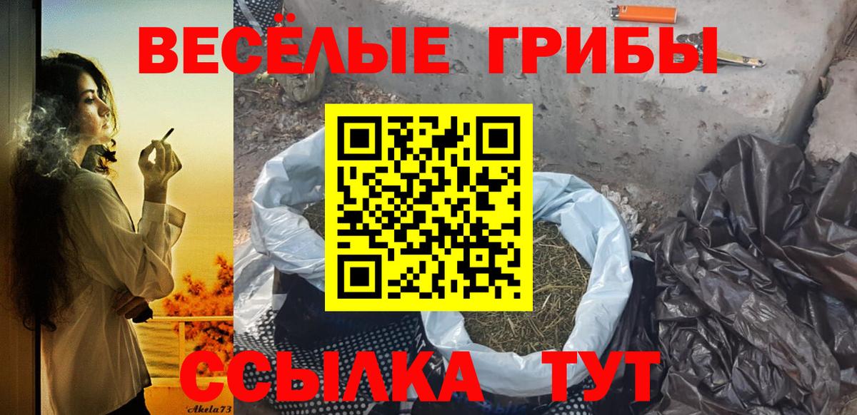Галлюциногенные грибы мицелий  Вход с VPN  Миллерово 